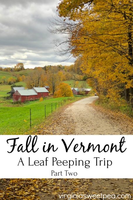 Fall in Vermont - Part Two - Sweet Pea