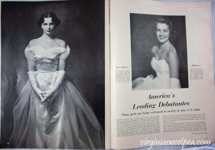 Life Magazine From December 25 1950 Sweet Pea 