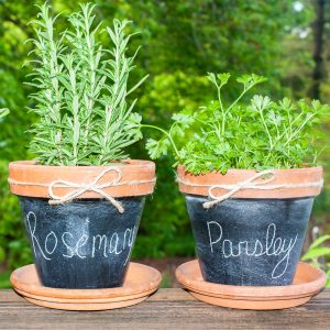 Ideas for Decorating with Chalkboards - Sweet Pea