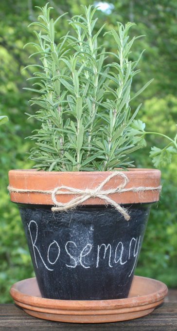 Diy Chalkboard Painted Pots - Sweet Pea