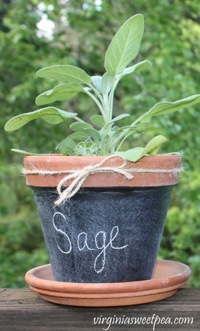 DIY Chalkboard Painted Pots - Sweet Pea